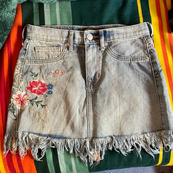 Express Dresses & Skirts - Express Embroidered Mini Skirt NWOT 00